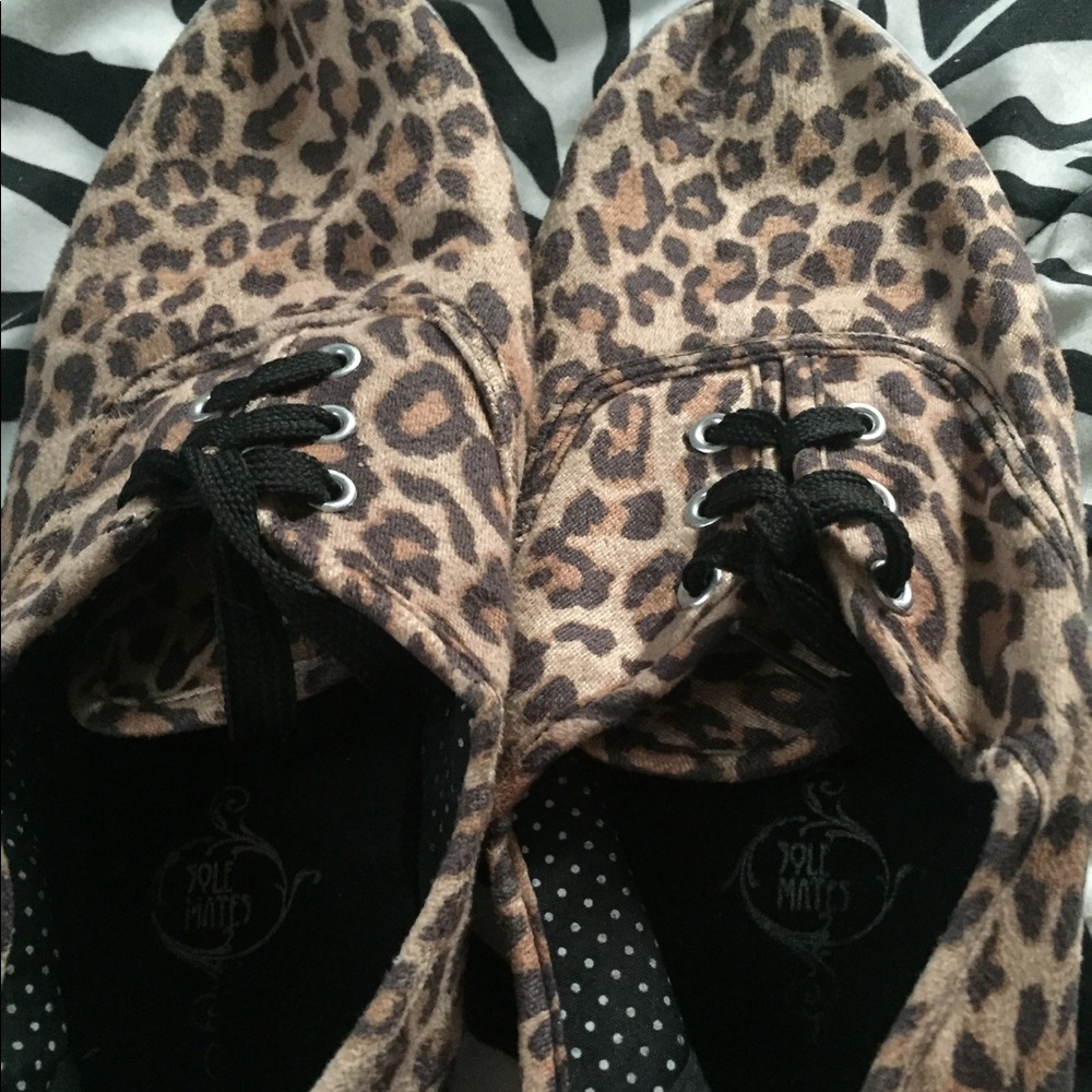 Cute van type shoes